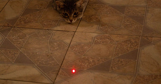 Automatic Interactive Cat Laser Toy - chasing laser