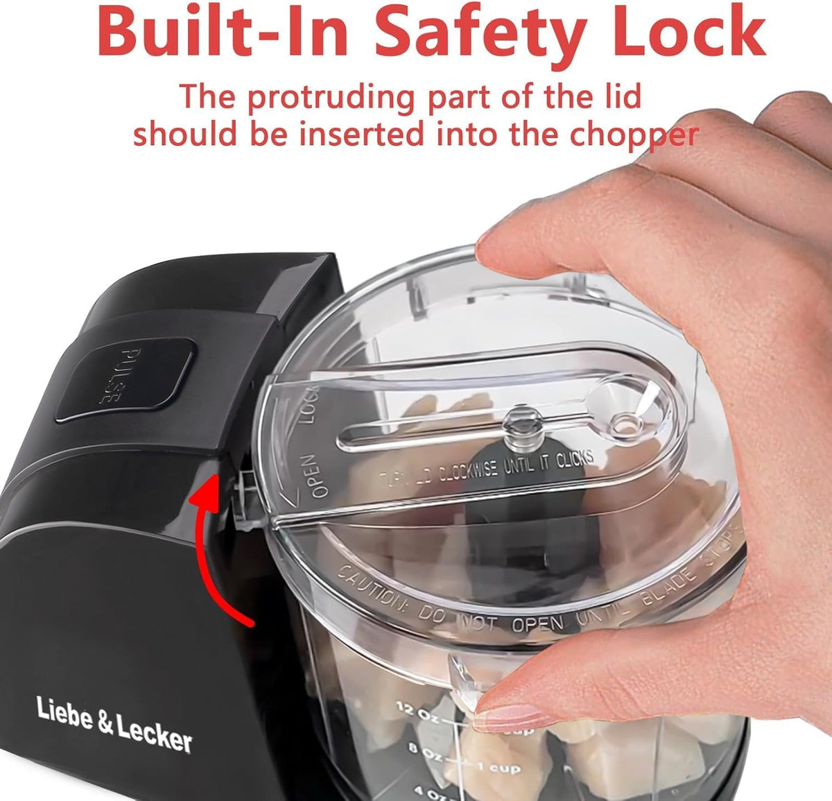 Mini Food Processor - size and features view